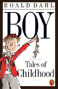 Children's-Stories-Adults-Will-Love-Too-Boy